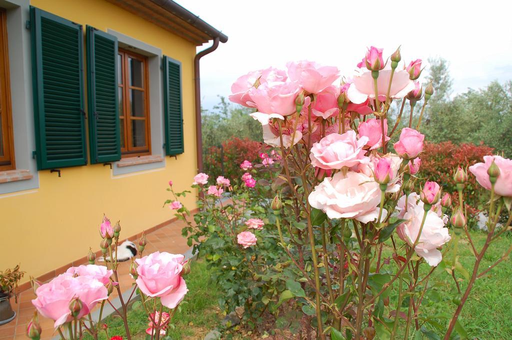 Villa Il Podere Di Giustina Montecarlo Exterior foto